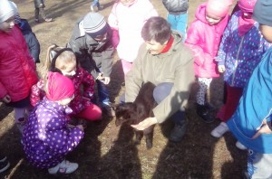 20160406_101229ož