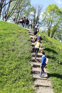 IMG_3153-1